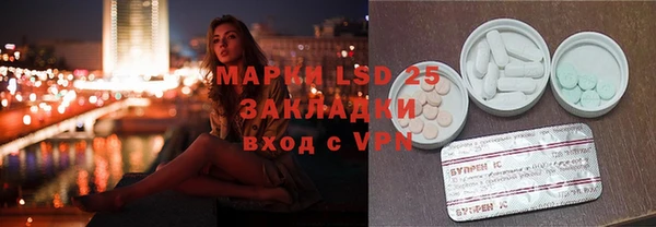 PSILOCYBIN Верея