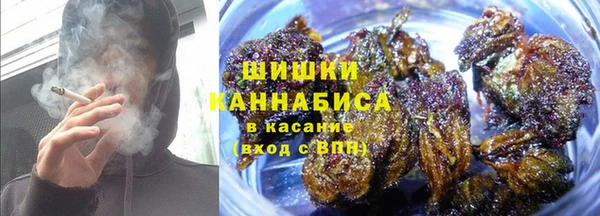 PSILOCYBIN Верея